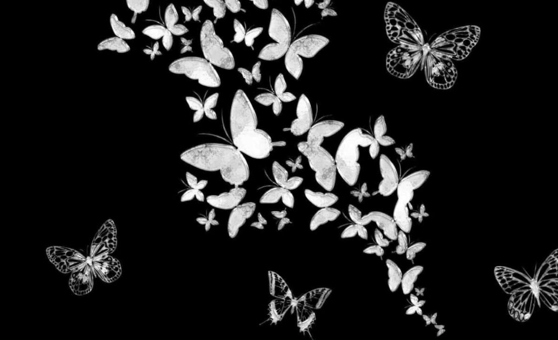 Iphone Aesthetic Darkness Black Butterfly Wallpaper
